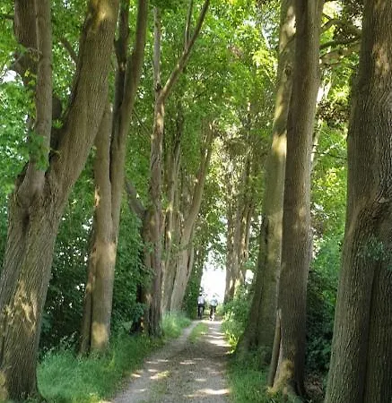 Zen Lage Zwaluwe