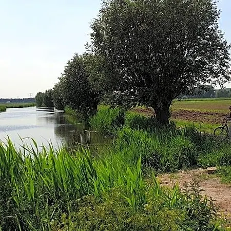 Bed & Breakfast Zen 3*