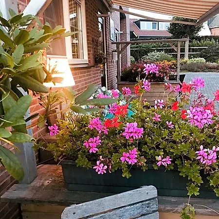 Bed & Breakfast Zen Lage Zwaluwe