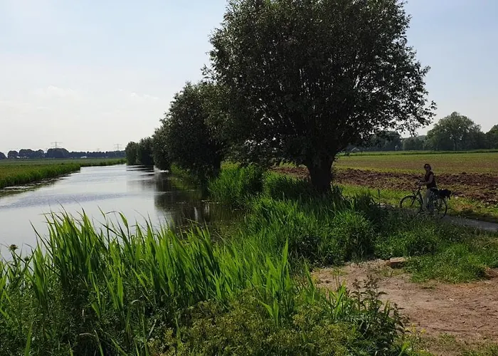 Zen Bed & Breakfast Zwaluwe