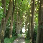 Zen Lage Zwaluwe