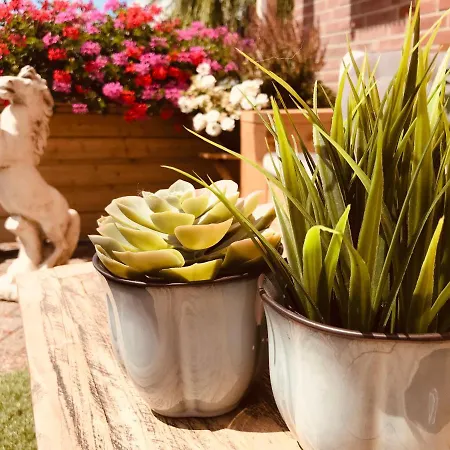 לינה וארוחת בוקר Zen 3*