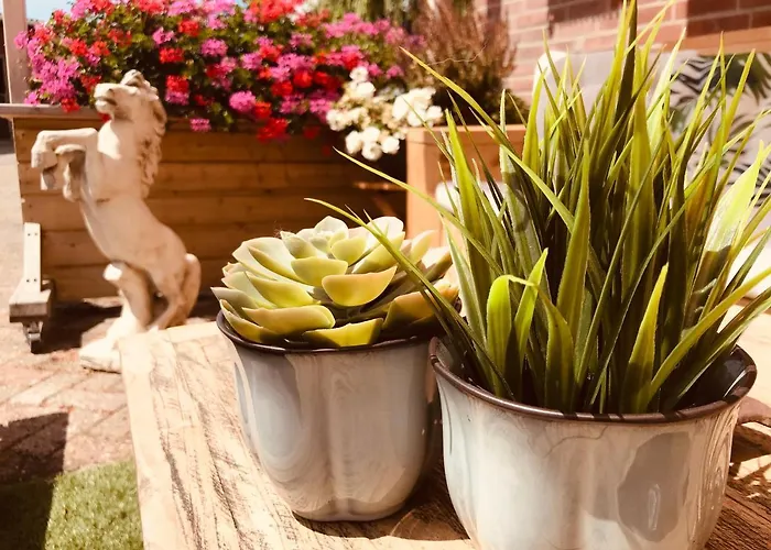 לינה וארוחת בוקר Zen 3*