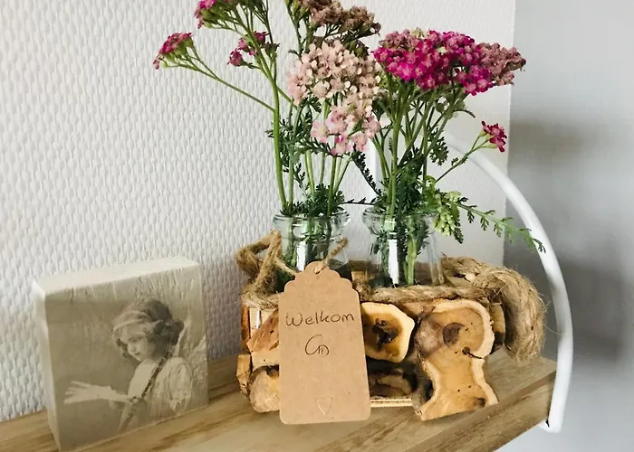 Zen לינה וארוחת בוקר